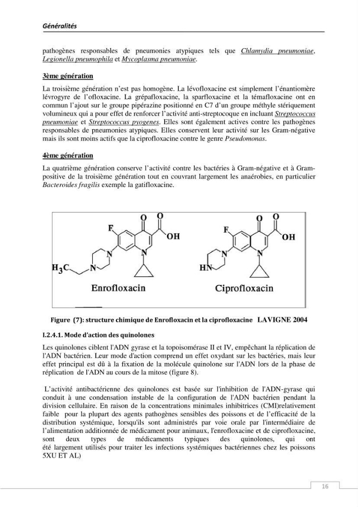 L\'évaluation de la résistance aux antibiotiques chez les bactéries à Gram négatif isolées au niveau de la ferme piscicole marine ONDPA Cap Djinet wilaya de Boumerdes: