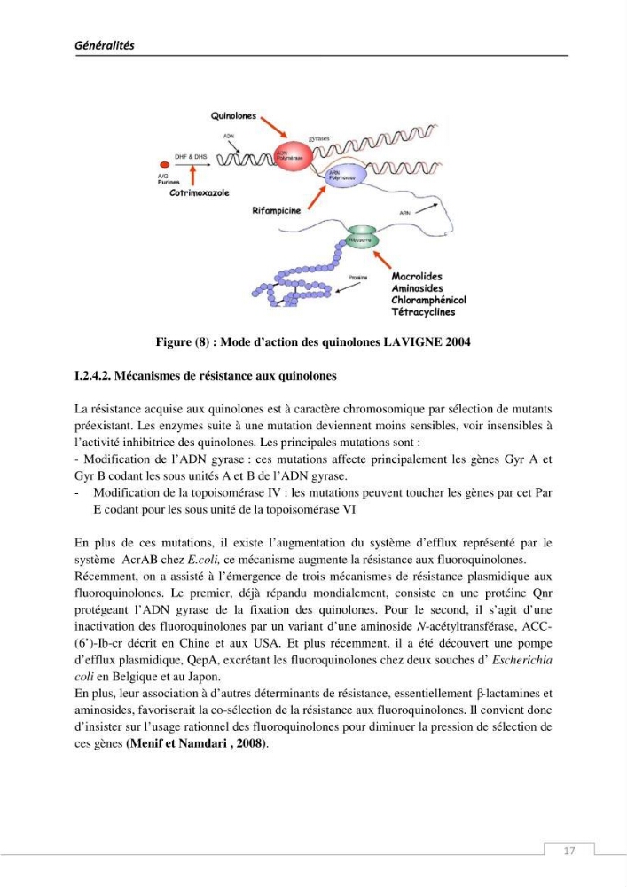 L\'évaluation de la résistance aux antibiotiques chez les bactéries à Gram négatif isolées au niveau de la ferme piscicole marine ONDPA Cap Djinet wilaya de Boumerdes: