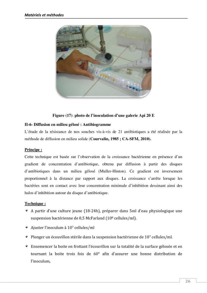 L\'évaluation de la résistance aux antibiotiques chez les bactéries à Gram négatif isolées au niveau de la ferme piscicole marine ONDPA Cap Djinet wilaya de Boumerdes: