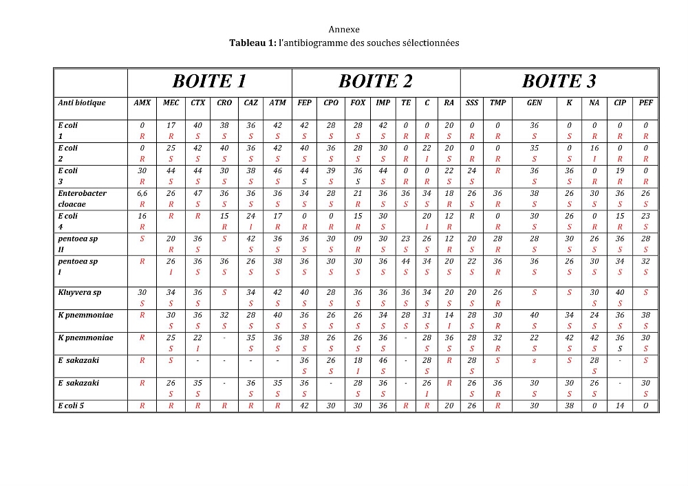 L\'évaluation de la résistance aux antibiotiques chez les bactéries à Gram négatif isolées au niveau de la ferme piscicole marine ONDPA Cap Djinet wilaya de Boumerdes: