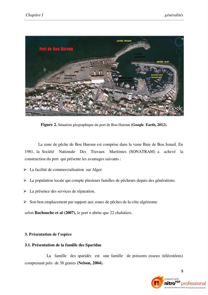 Contribution à l\'étude de l\'exploitation de Pagellus acarne (Risso, 1826) de la baie de Bou-ismail: