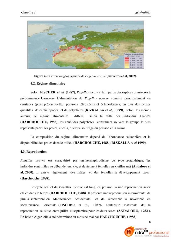 Contribution à l\'étude de l\'exploitation de Pagellus acarne (Risso, 1826) de la baie de Bou-ismail: