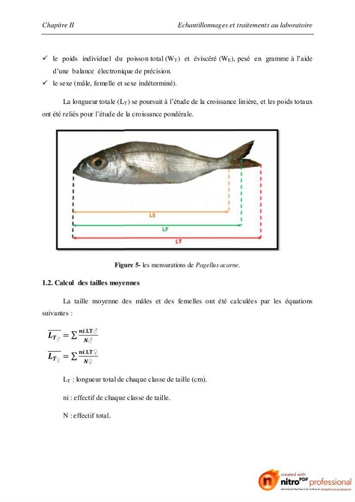 Contribution à l\'étude de l\'exploitation de Pagellus acarne (Risso, 1826) de la baie de Bou-ismail: