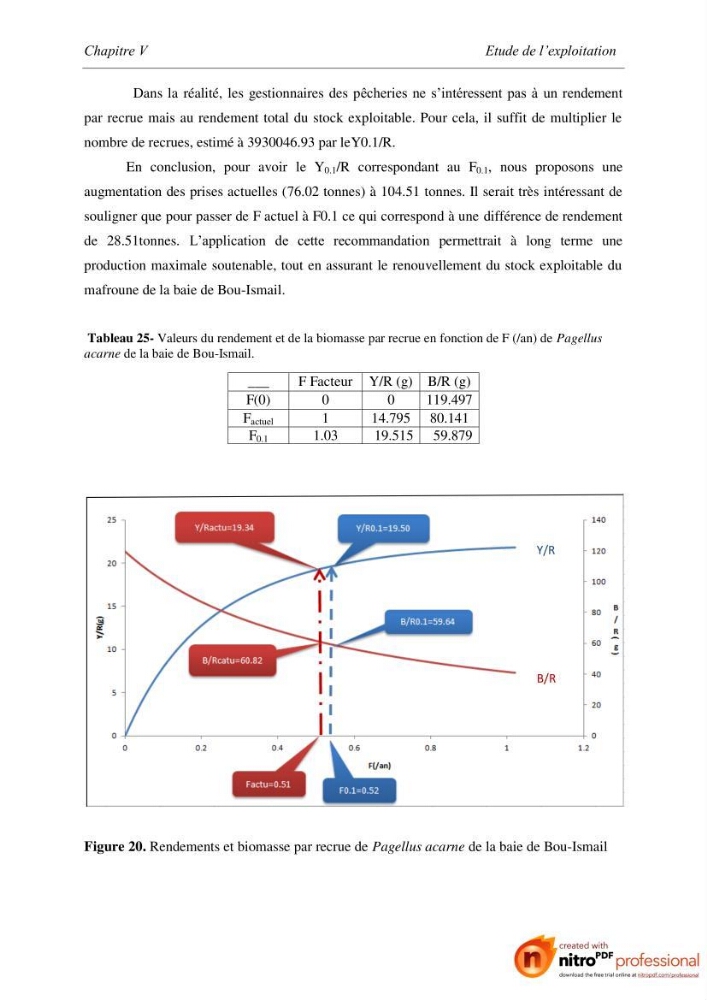Contribution à l\'étude de l\'exploitation de Pagellus acarne (Risso, 1826) de la baie de Bou-ismail: