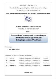 Proposition d'ouvrages de protection par méthodes douces (géotextiles) de la plage centre d'Azeffoun