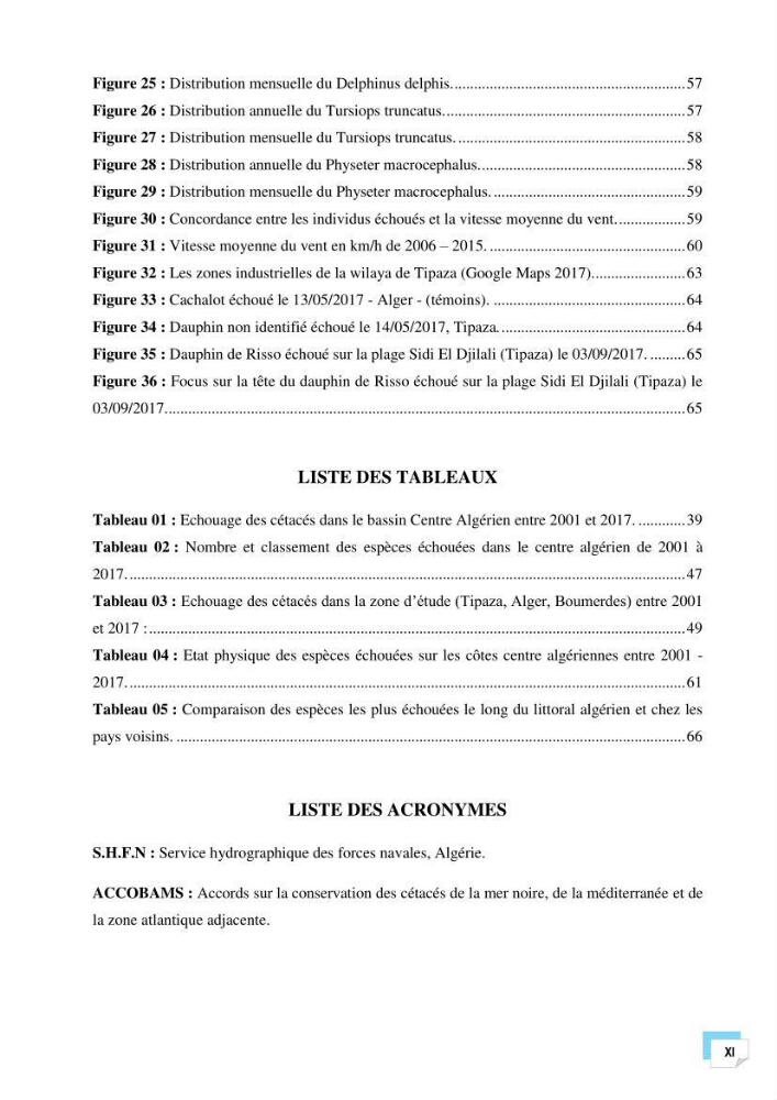 Bilan des échouages de cetacés dans le centre Algérien