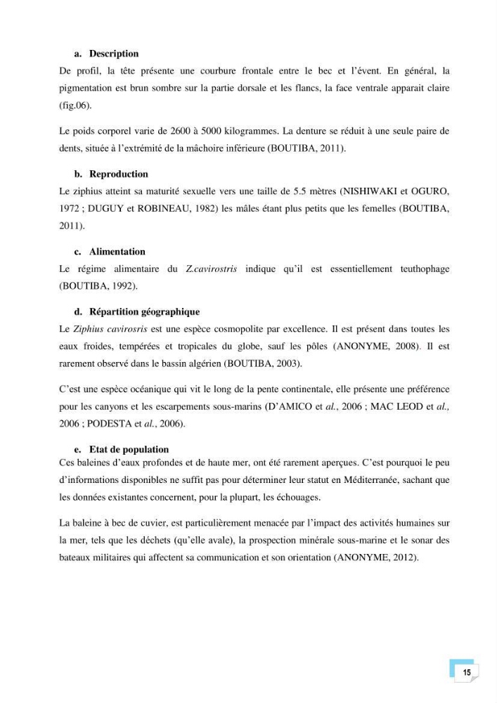 Bilan des échouages de cetacés dans le centre Algérien