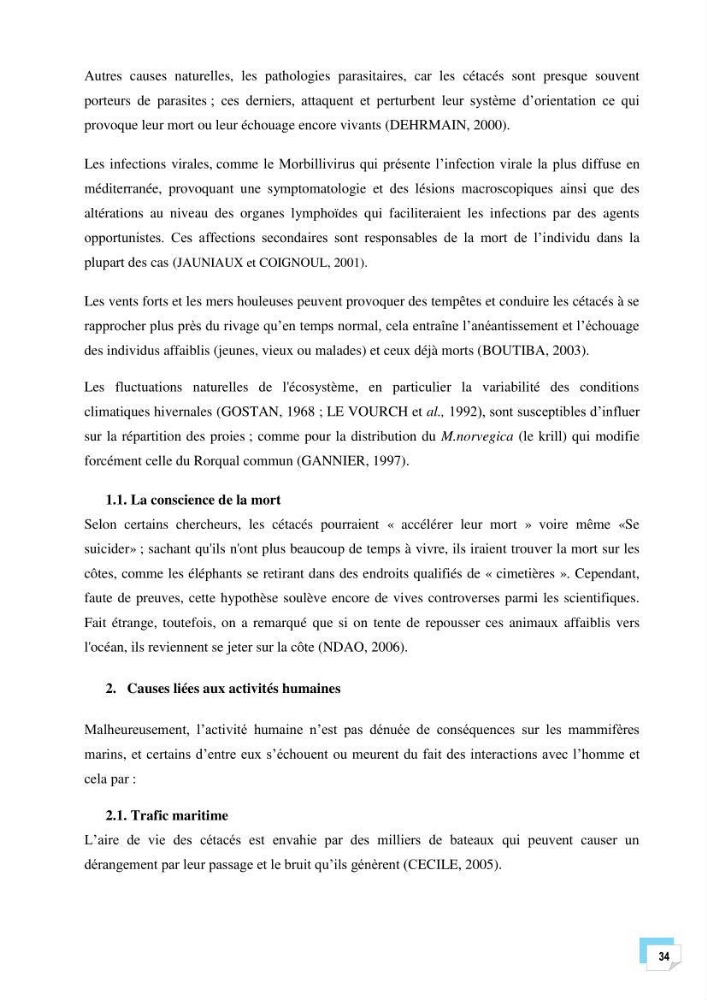 Bilan des échouages de cetacés dans le centre Algérien