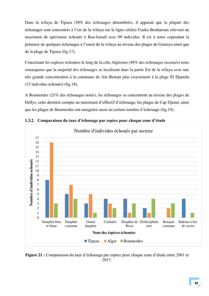 Bilan des échouages de cetacés dans le centre Algérien