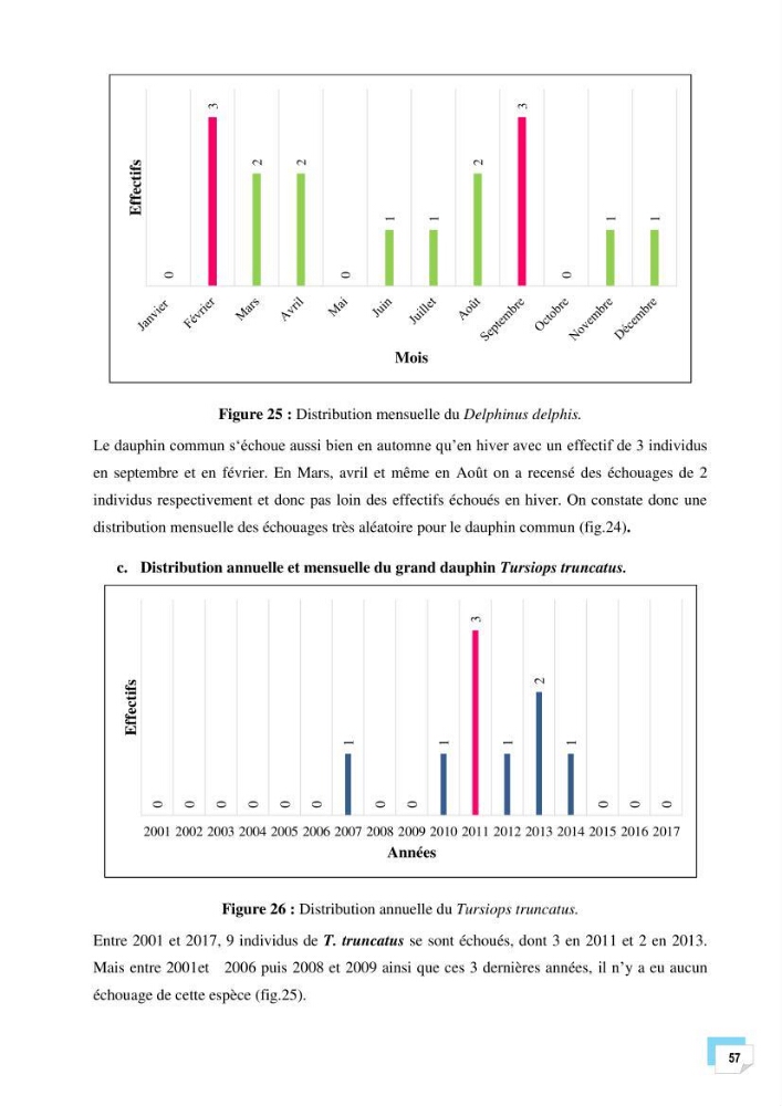 Bilan des échouages de cetacés dans le centre Algérien