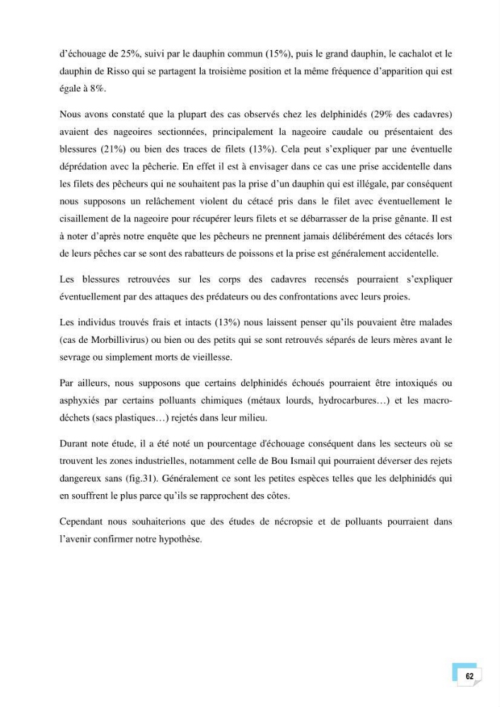 Bilan des échouages de cetacés dans le centre Algérien
