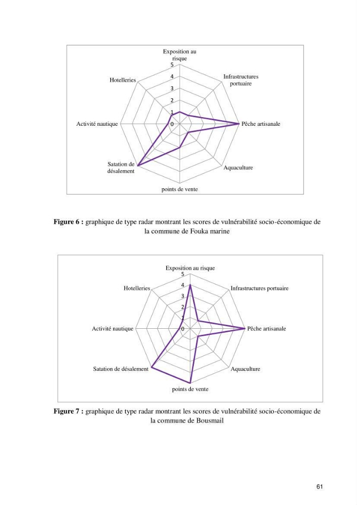 Evaluation de la vulnérabilité socio-économique du secteur de la pêche face à une pollution potentielle par les hydrocarbures dans la baie de Bou-Ismail