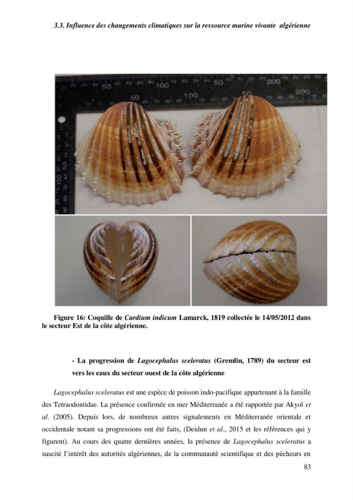 Contribution a l\'étude de l\'impact des changements des paramètres du milieu et de la préssion de la pêche sur les Bio-ressources marines Algériennes: