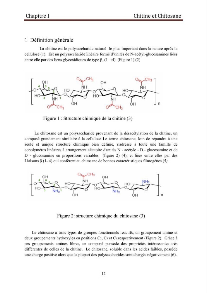 Mise au point d\'un protocole d\'extraction assistée aux micro-ondes du chitosane à partir de carapaces de crevettes