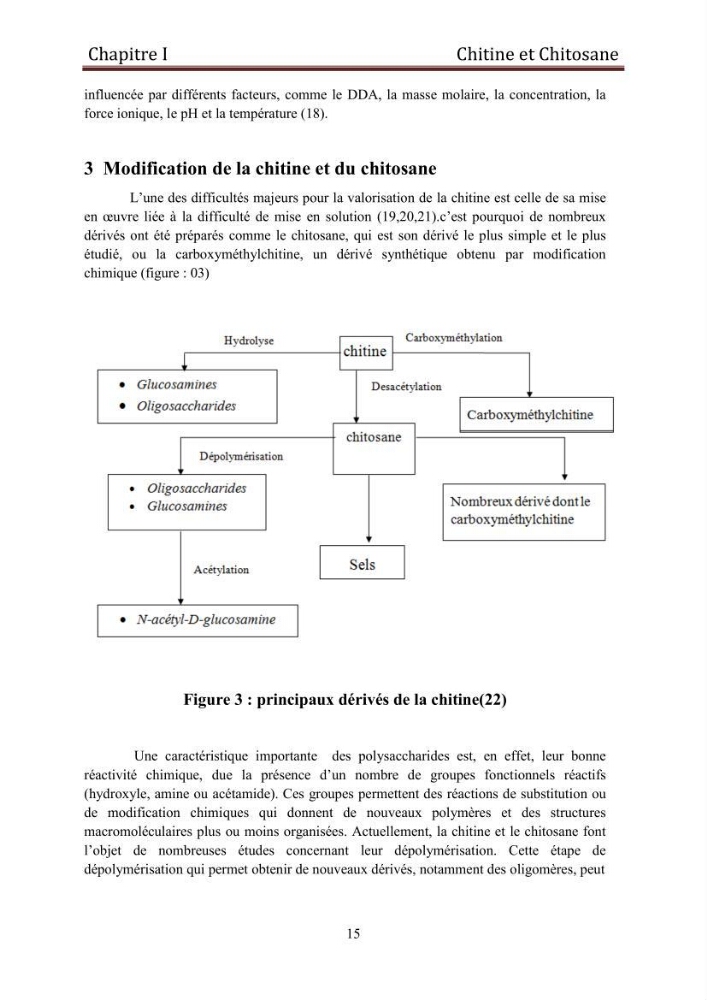 Mise au point d\'un protocole d\'extraction assistée aux micro-ondes du chitosane à partir de carapaces de crevettes
