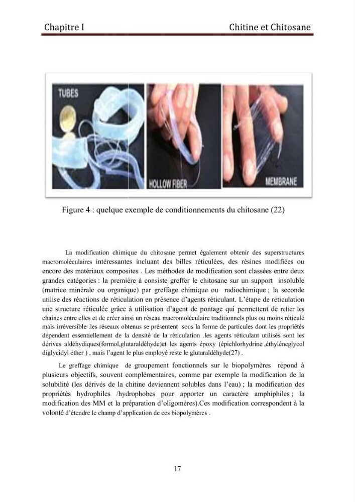 Mise au point d\'un protocole d\'extraction assistée aux micro-ondes du chitosane à partir de carapaces de crevettes