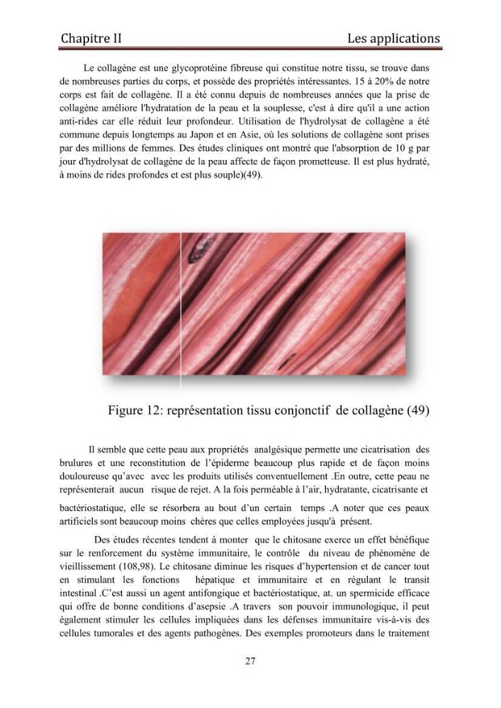 Mise au point d\'un protocole d\'extraction assistée aux micro-ondes du chitosane à partir de carapaces de crevettes