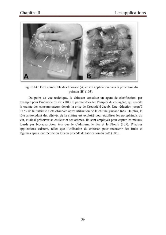 Mise au point d\'un protocole d\'extraction assistée aux micro-ondes du chitosane à partir de carapaces de crevettes