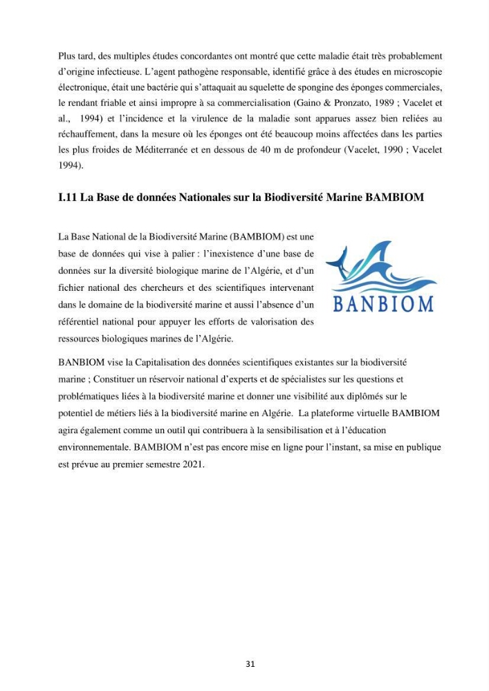 Elaboration d’un inventaire-référentiel national des Porifères de la côte algérienne