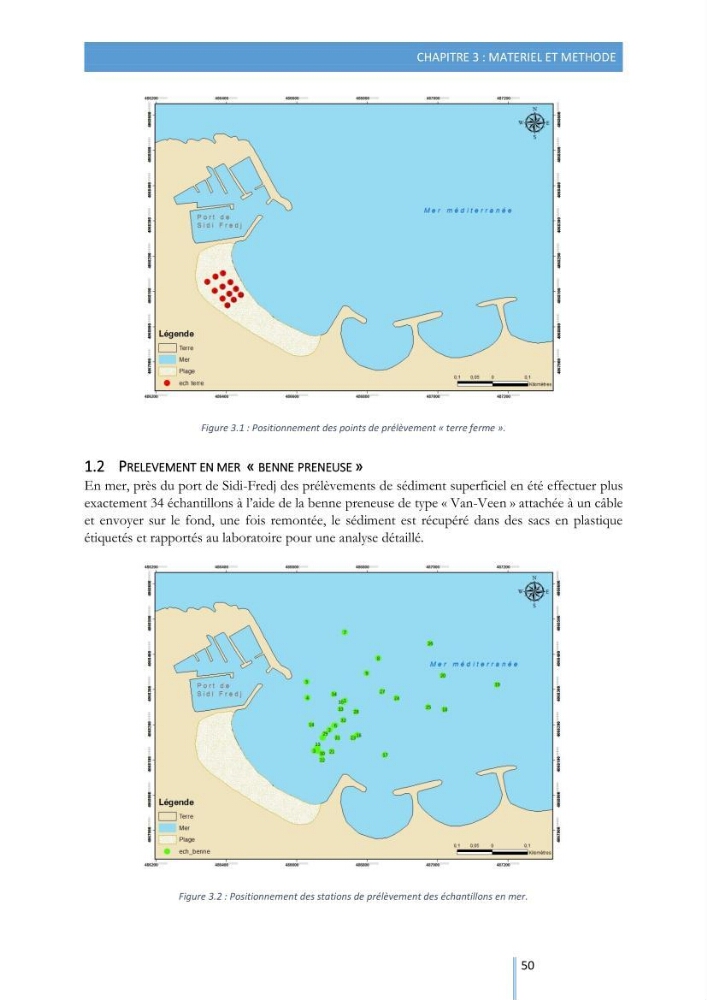 Modélisation de l\'hydrodynamique sédimentaire soumise à l\'action de la houle et des courants: Application à la côte de Sidi-Fredj