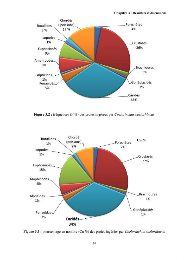 Valorisation d’une espèce de poisson issue des rejets de la pêche au niveau du port de Bouharoun biologie et exploitation de Coelorinchus caelorhincus (Risso, 1810)