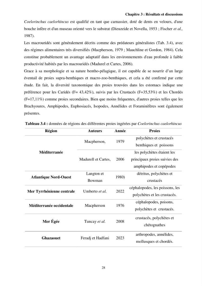 Valorisation d’une espèce de poisson issue des rejets de la pêche au niveau du port de Bouharoun biologie et exploitation de Coelorinchus caelorhincus (Risso, 1810)