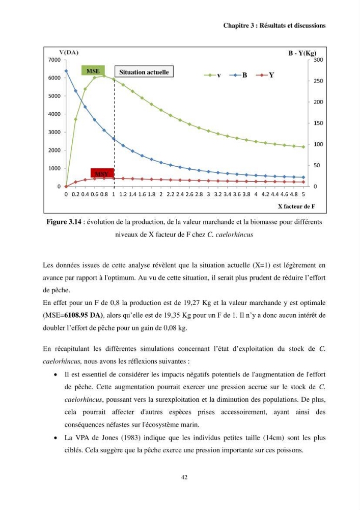 Valorisation d’une espèce de poisson issue des rejets de la pêche au niveau du port de Bouharoun biologie et exploitation de Coelorinchus caelorhincus (Risso, 1810)