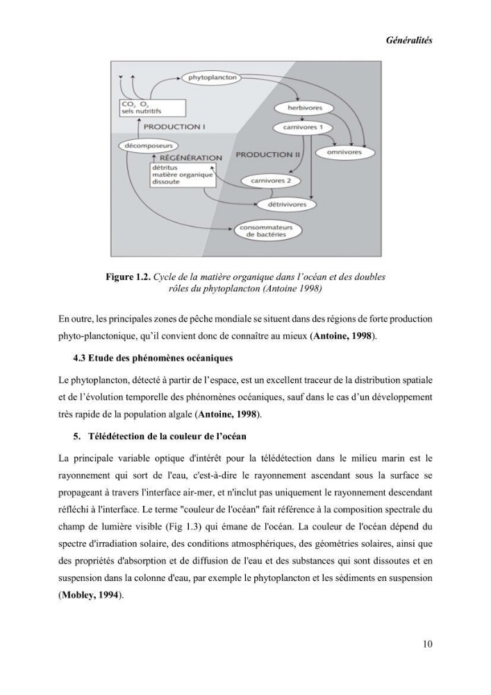 Modélisation du phytoplancton marin et des paramètres biologiques des zones côtières, outils et imagerie satellitale