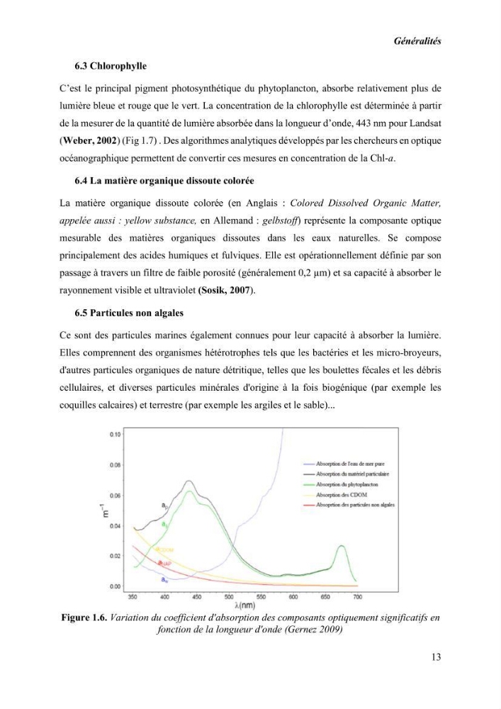 Modélisation du phytoplancton marin et des paramètres biologiques des zones côtières, outils et imagerie satellitale