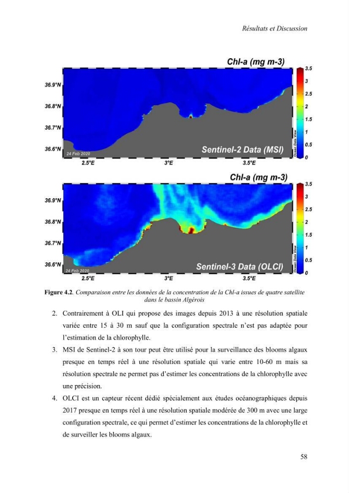 Modélisation du phytoplancton marin et des paramètres biologiques des zones côtières, outils et imagerie satellitale
