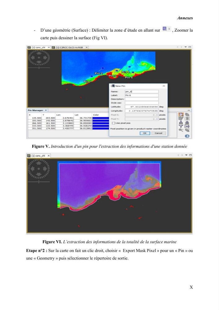 Modélisation du phytoplancton marin et des paramètres biologiques des zones côtières, outils et imagerie satellitale