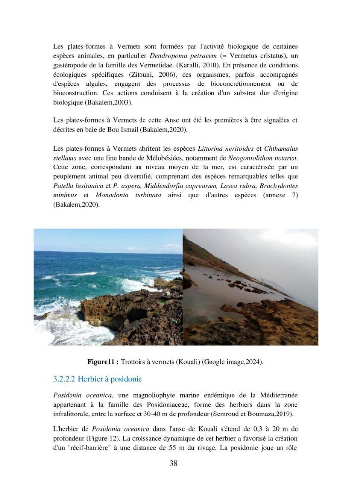 Suivi de la mise en oeuvre de la gestion intégrée de l\'aire marine et côtière protégée du mont Cheoua/Anses de Kouali et évaluation des critères requis pour sa candidature à la liste de lUICN