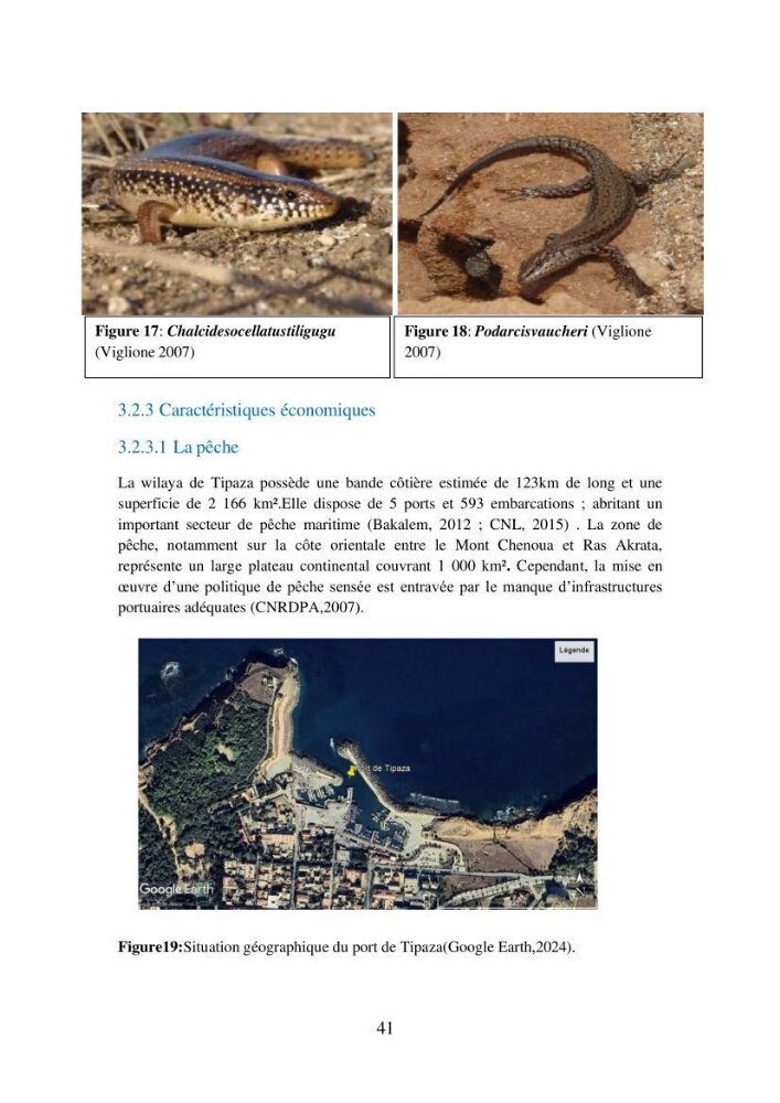 Suivi de la mise en oeuvre de la gestion intégrée de l\'aire marine et côtière protégée du mont Cheoua/Anses de Kouali et évaluation des critères requis pour sa candidature à la liste de lUICN