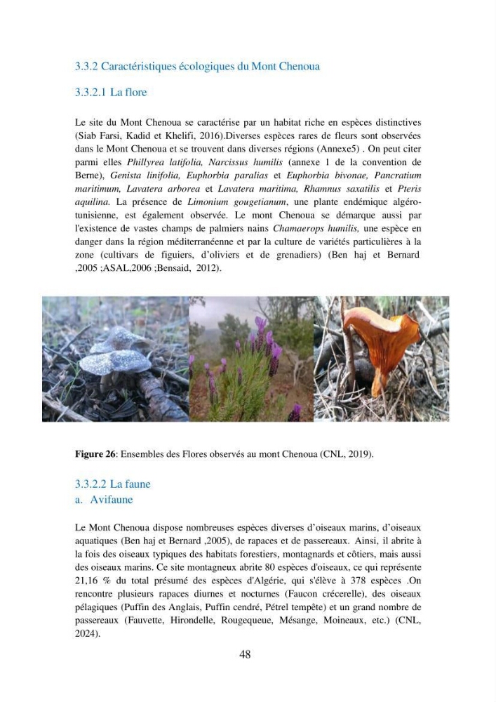 Suivi de la mise en oeuvre de la gestion intégrée de l\'aire marine et côtière protégée du mont Cheoua/Anses de Kouali et évaluation des critères requis pour sa candidature à la liste de lUICN