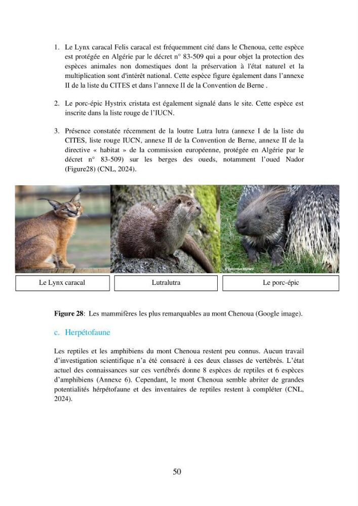 Suivi de la mise en oeuvre de la gestion intégrée de l\'aire marine et côtière protégée du mont Cheoua/Anses de Kouali et évaluation des critères requis pour sa candidature à la liste de lUICN