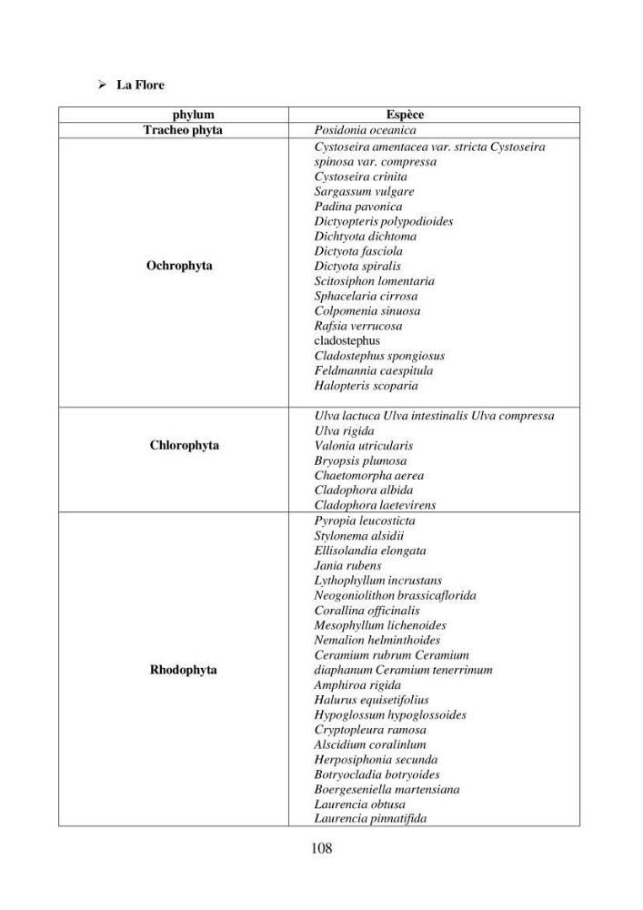 Suivi de la mise en oeuvre de la gestion intégrée de l\'aire marine et côtière protégée du mont Cheoua/Anses de Kouali et évaluation des critères requis pour sa candidature à la liste de lUICN