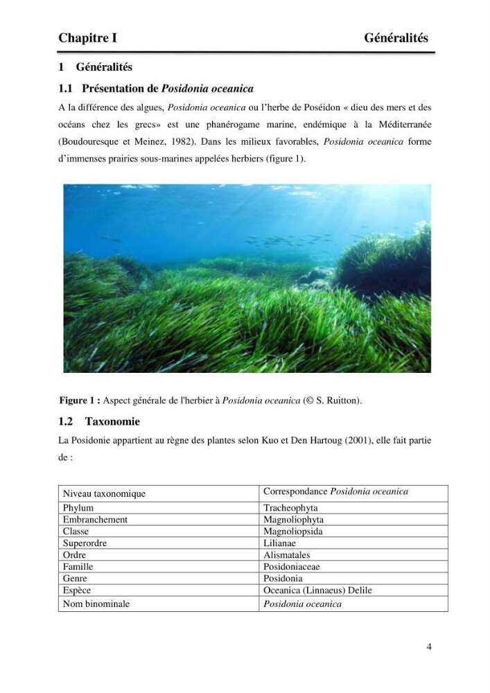 Distribution des herbiers et des espèces associées aux herbiers à Posidonia oceanica de la côte algérienne:
