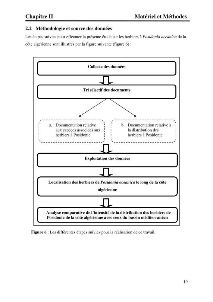 Distribution des herbiers et des espèces associées aux herbiers à Posidonia oceanica de la côte algérienne: