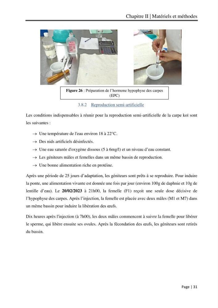 Maitrise et suivi de la reproduction artificielle et de l\'alevinage de la carpe koi (Cyprinus carpio carpio)