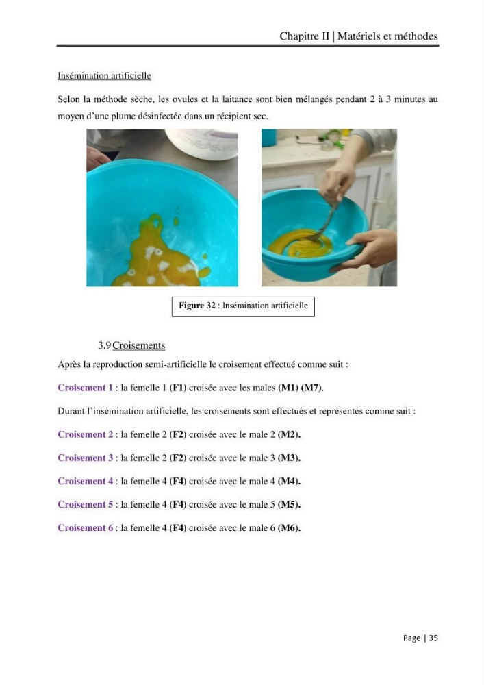 Maitrise et suivi de la reproduction artificielle et de l\'alevinage de la carpe koi (Cyprinus carpio carpio)