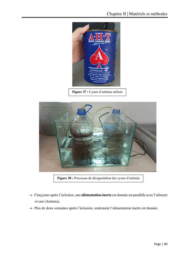 Maitrise et suivi de la reproduction artificielle et de l\'alevinage de la carpe koi (Cyprinus carpio carpio)