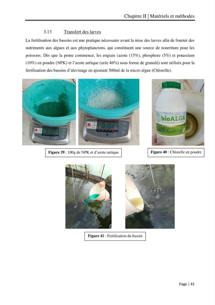 Maitrise et suivi de la reproduction artificielle et de l\'alevinage de la carpe koi (Cyprinus carpio carpio)