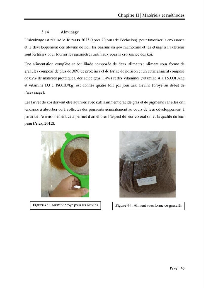 Maitrise et suivi de la reproduction artificielle et de l\'alevinage de la carpe koi (Cyprinus carpio carpio)