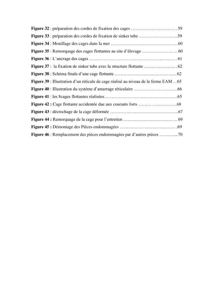 Contribution au montage des cages flotantte pour l\'élevage de loup et de daurade \'Ain tagourait,Bou Ismail Tipaza):