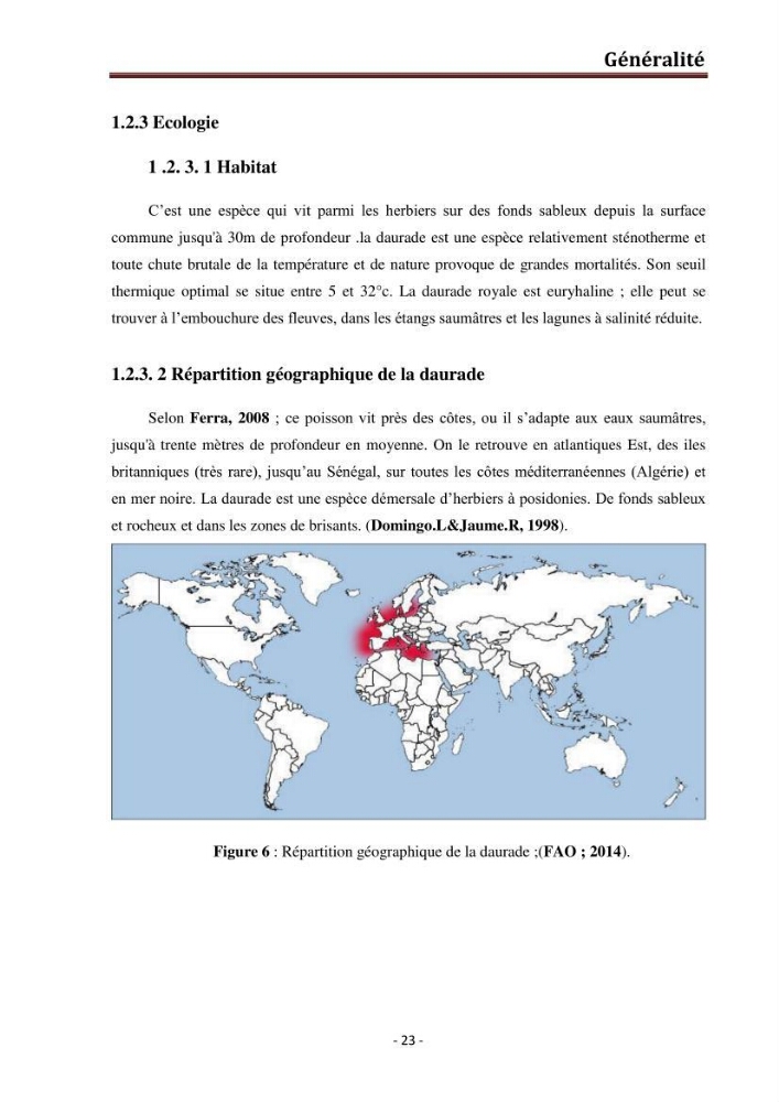 Contribution au montage des cages flotantte pour l\'élevage de loup et de daurade \'Ain tagourait,Bou Ismail Tipaza):