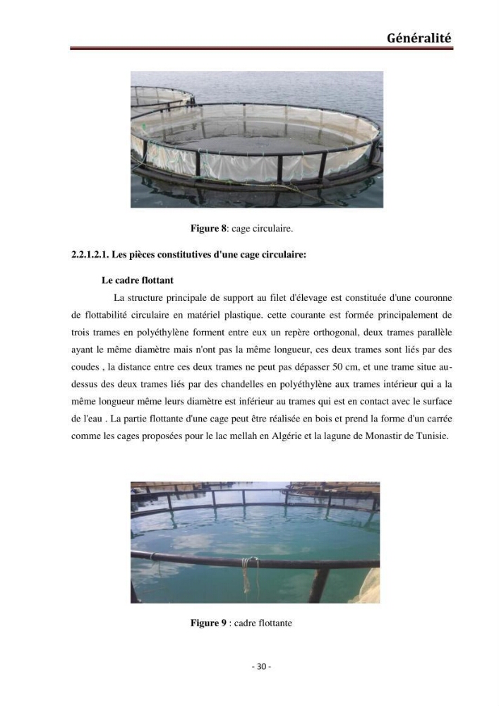 Contribution au montage des cages flotantte pour l\'élevage de loup et de daurade \'Ain tagourait,Bou Ismail Tipaza):