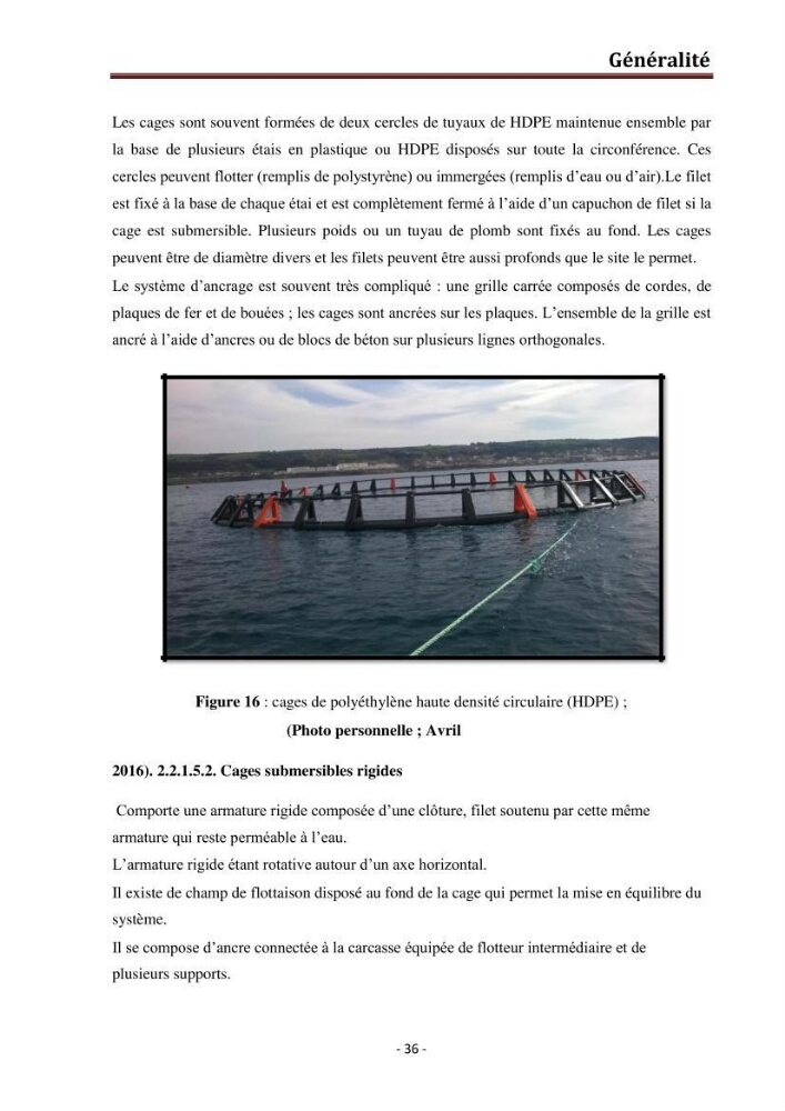 Contribution au montage des cages flotantte pour l\'élevage de loup et de daurade \'Ain tagourait,Bou Ismail Tipaza):