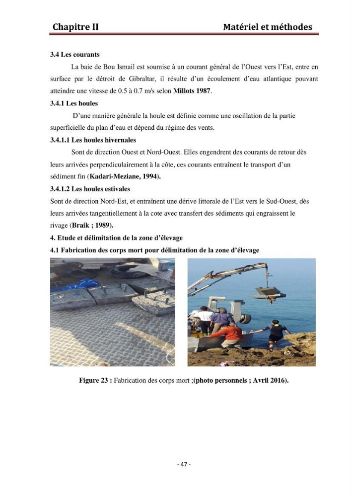 Contribution au montage des cages flotantte pour l\'élevage de loup et de daurade \'Ain tagourait,Bou Ismail Tipaza):