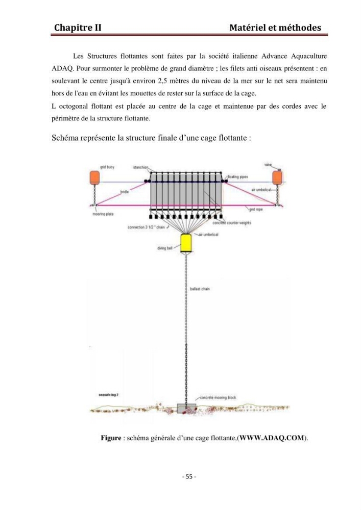 Contribution au montage des cages flotantte pour l\'élevage de loup et de daurade \'Ain tagourait,Bou Ismail Tipaza):