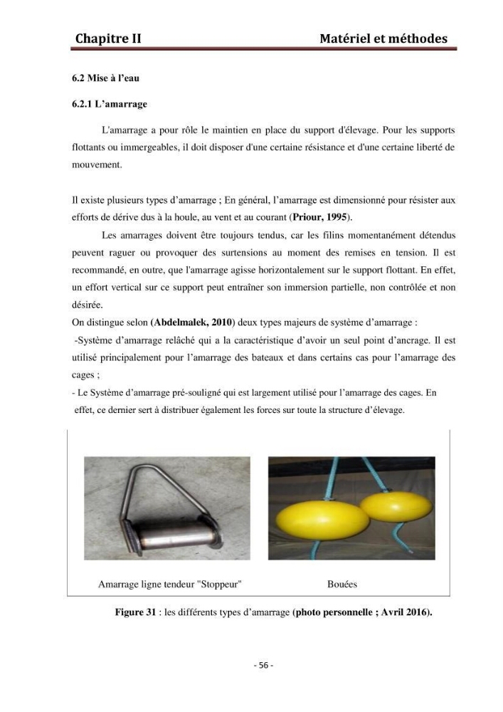 Contribution au montage des cages flotantte pour l\'élevage de loup et de daurade \'Ain tagourait,Bou Ismail Tipaza):